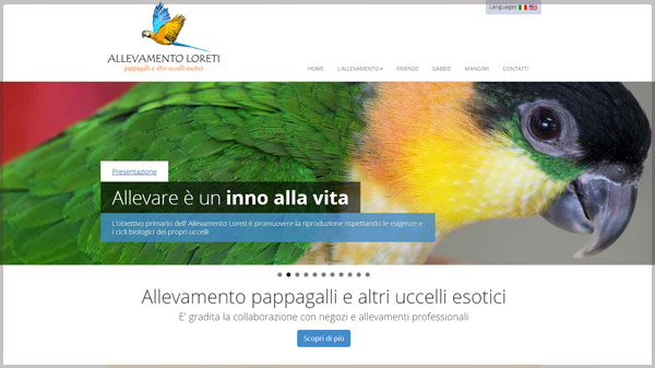 Allevamento pappagalli