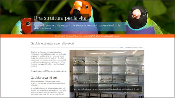 Allevamento pappagalli